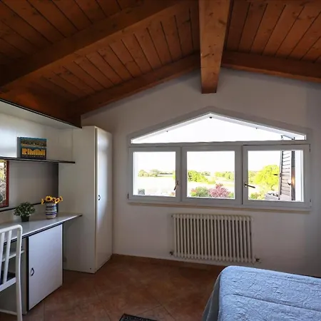 Circuito Simoncelli *