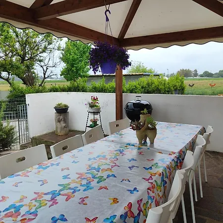 Circuito Simoncelli *