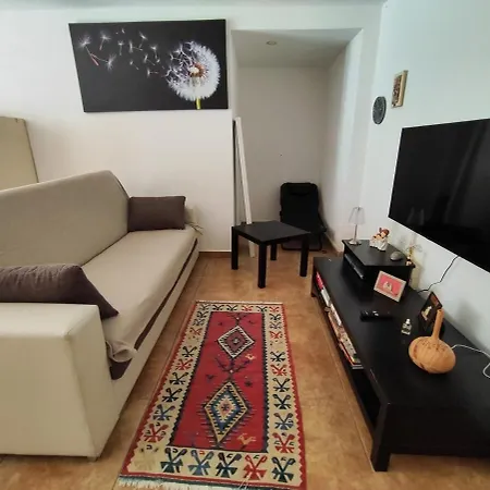 Orman Evi Circuito Simoncelli *