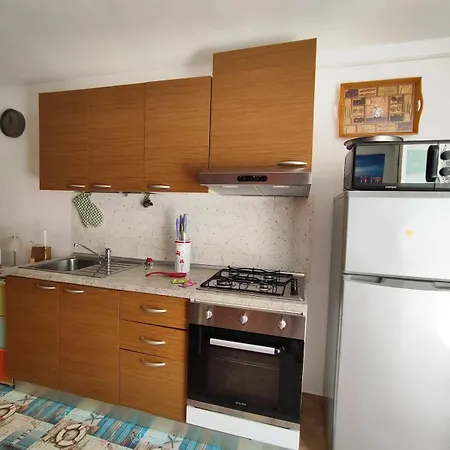 Orman Evi Circuito Simoncelli