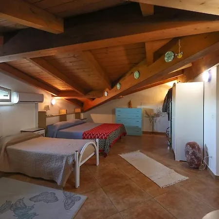 Orman Evi Circuito Simoncelli