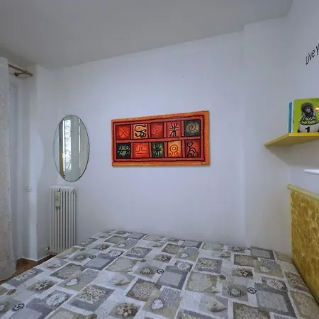 Orman Evi Circuito Simoncelli