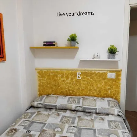 Orman Evi Circuito Simoncelli *