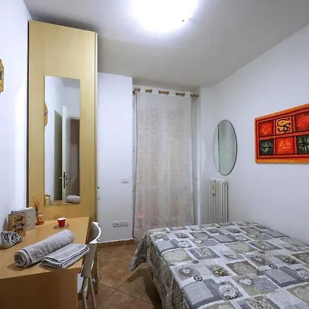 Orman Evi Circuito Simoncelli