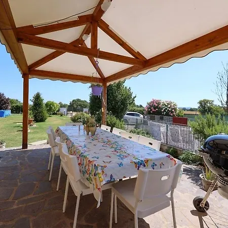 Orman Evi Circuito Simoncelli *