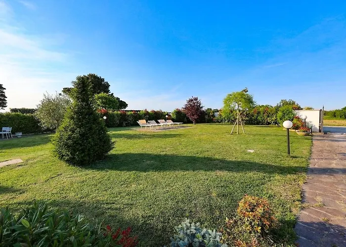 Circuito Simoncelli אכסניה *