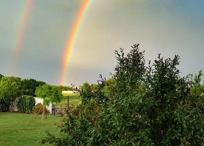 Circuito Simoncelli אכסניה